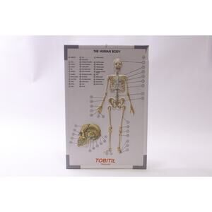 The Human Body, Plaque, Wall Hanging, Anatomy Education Learning ~ 250903-WH 706